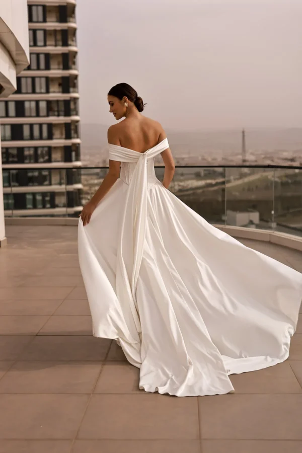 Fly wedding dress backview